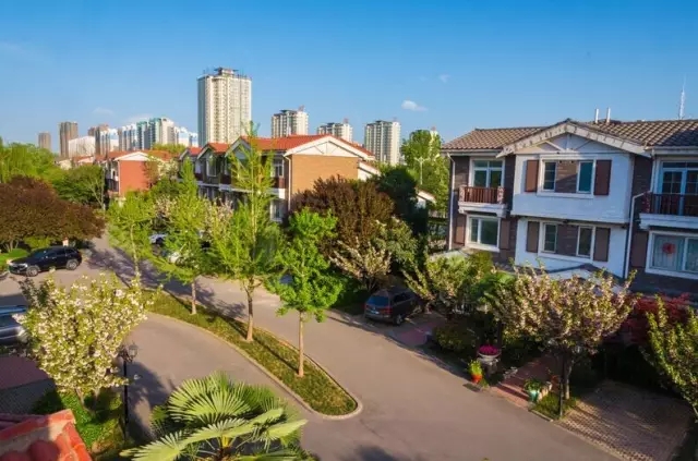 纸杯蛋糕 | 繁花五月，，，唯爱绵绵