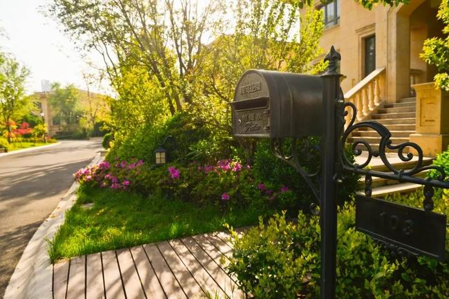 5月的国宝，，享受初夏的惬意时光